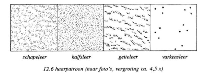 haarpatroon afbeelding uit "kneep en binding"