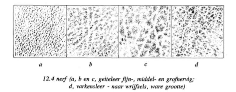leernerf afbeelding uit "kneep en binding"