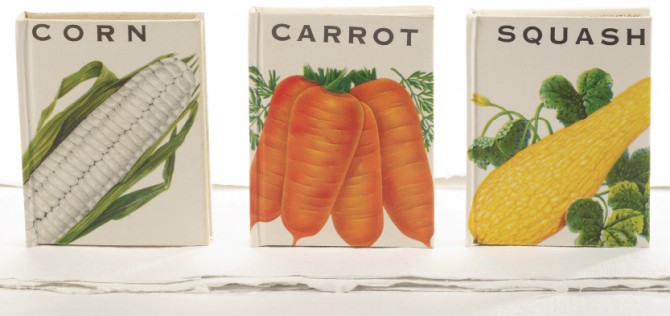 Boekbespreking: Making Mini Books; voorbeeld