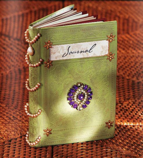 Journal van Jeannine Stein