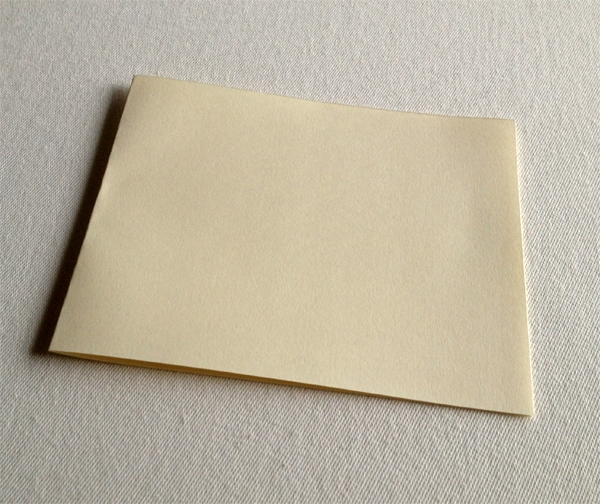 combinatie Koptische- Langsteek binding