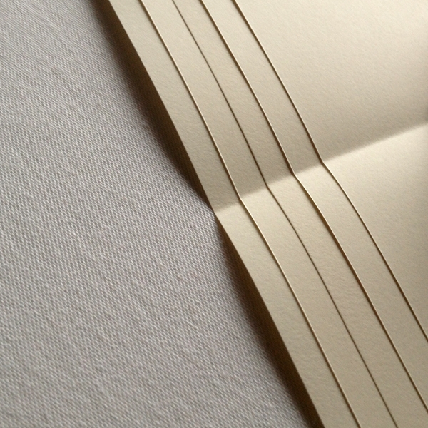 combinatie Koptische- Langsteek binding