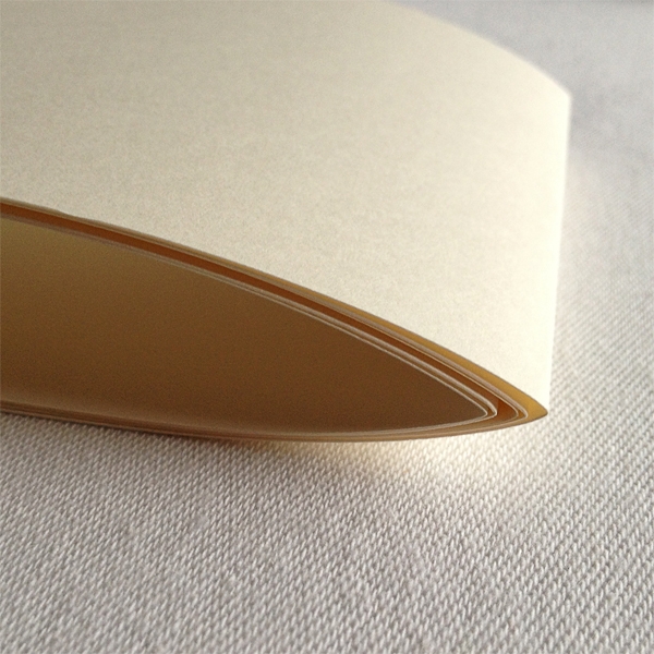 combinatie Koptische- Langsteek binding