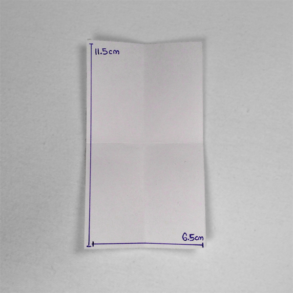 combinatie Koptische- Langsteek binding