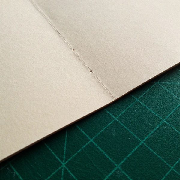 combinatie Koptische- Langsteek binding
