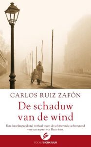 De schaduw van de wind