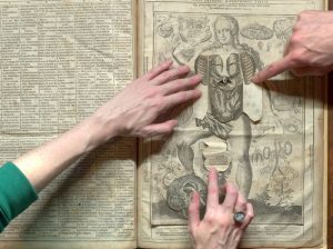Eén van de eerste pop-boeken was van Vesalius