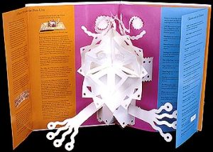 The elements of pop-up - detail